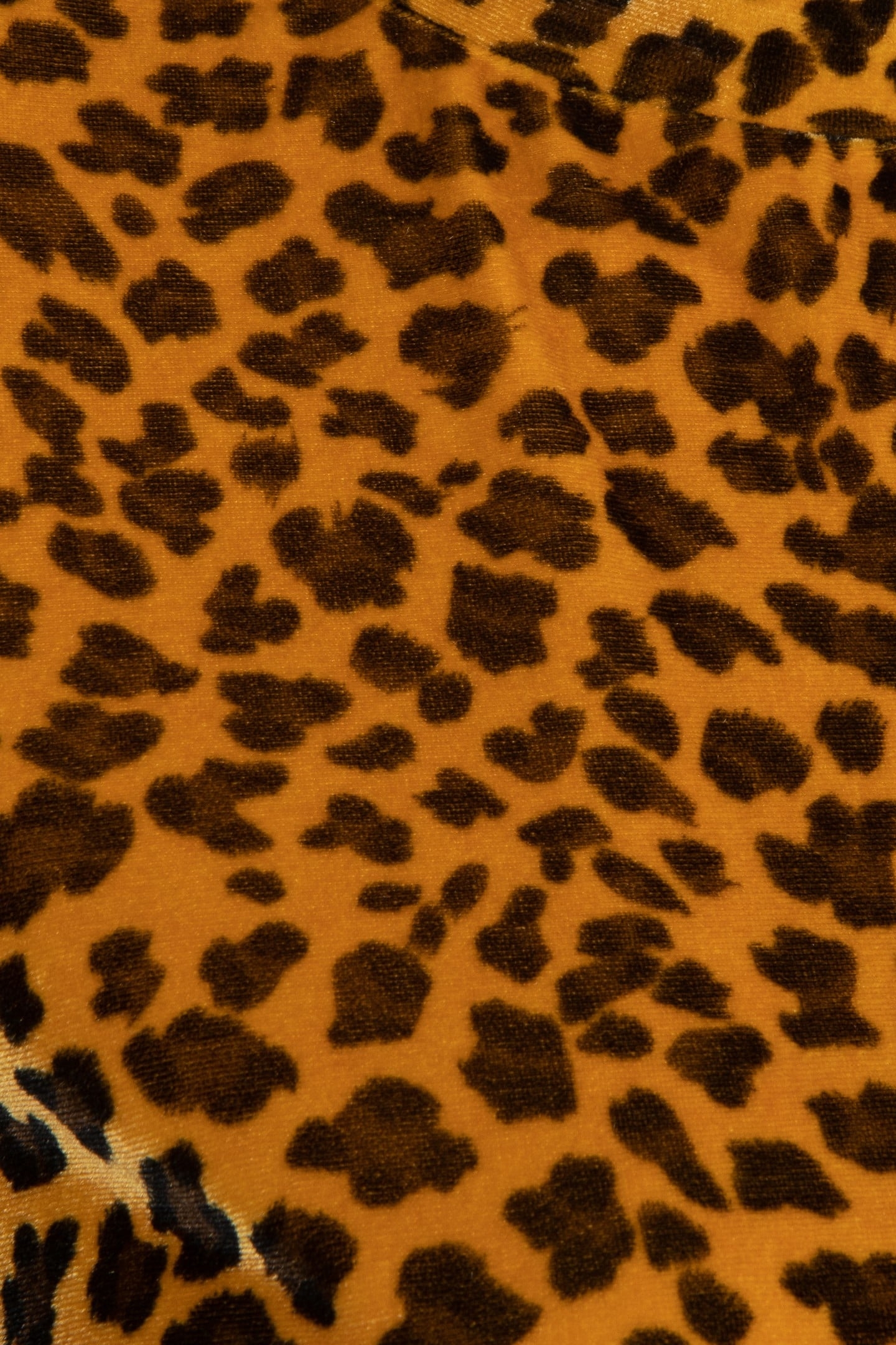 TOP VELOURS PRINTED ANIMAL GOLD 3