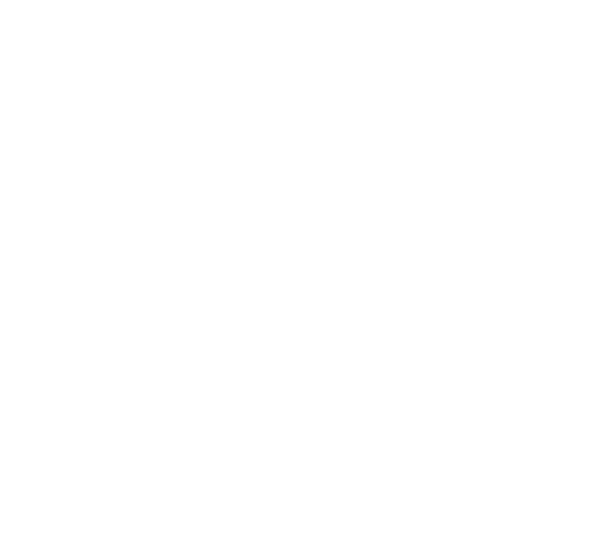 Frankies Bikinis
